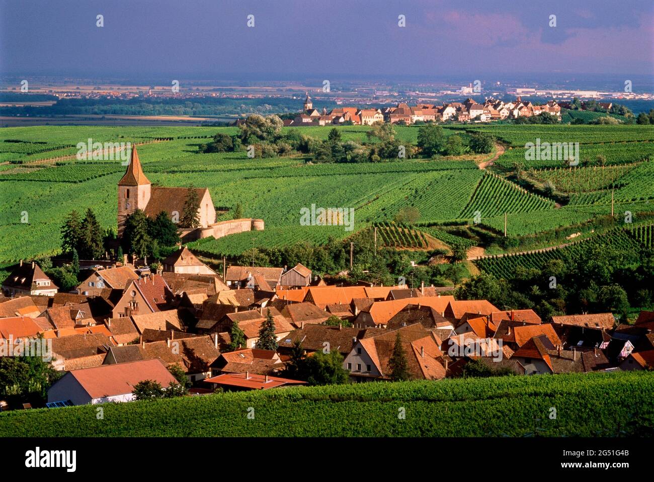Dorf mit Weinbergen, Hunawihr, Elsass, Frankreich Stockfoto