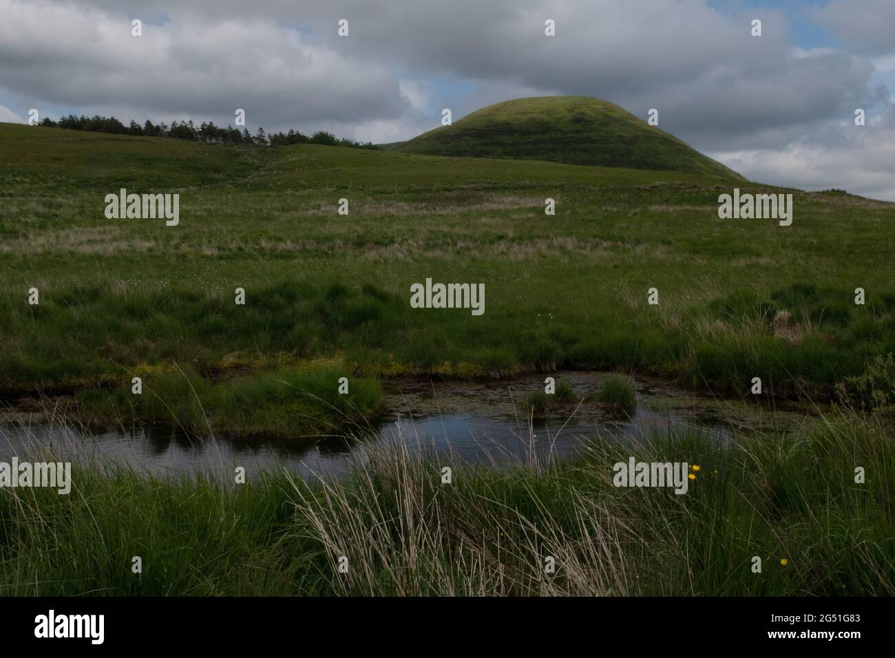 Y Foel vom Wye Valley Walk, Wales Stockfoto