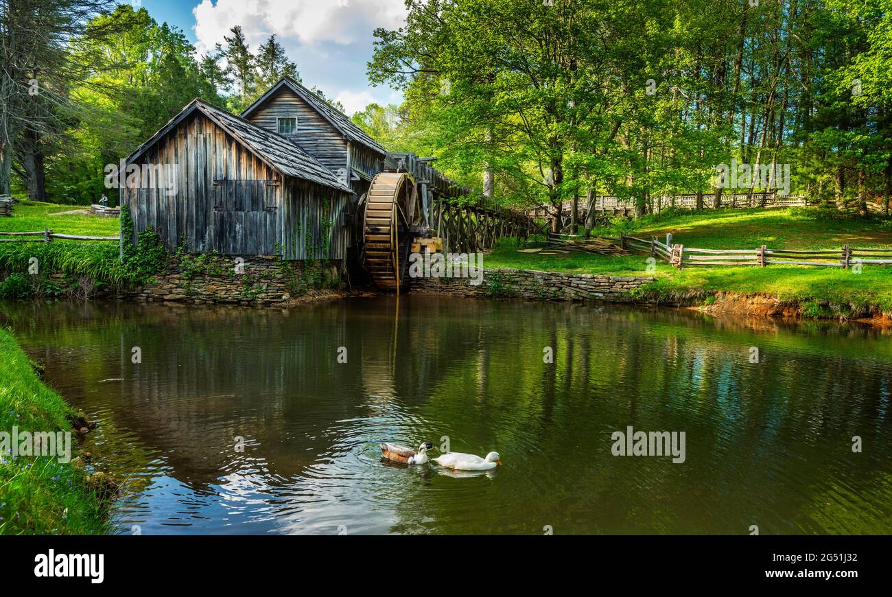 Mabry Mill in üppiger grüner Landschaft, Blue Ridge Parkway, Floyd County, Virginia, USA Stockfoto