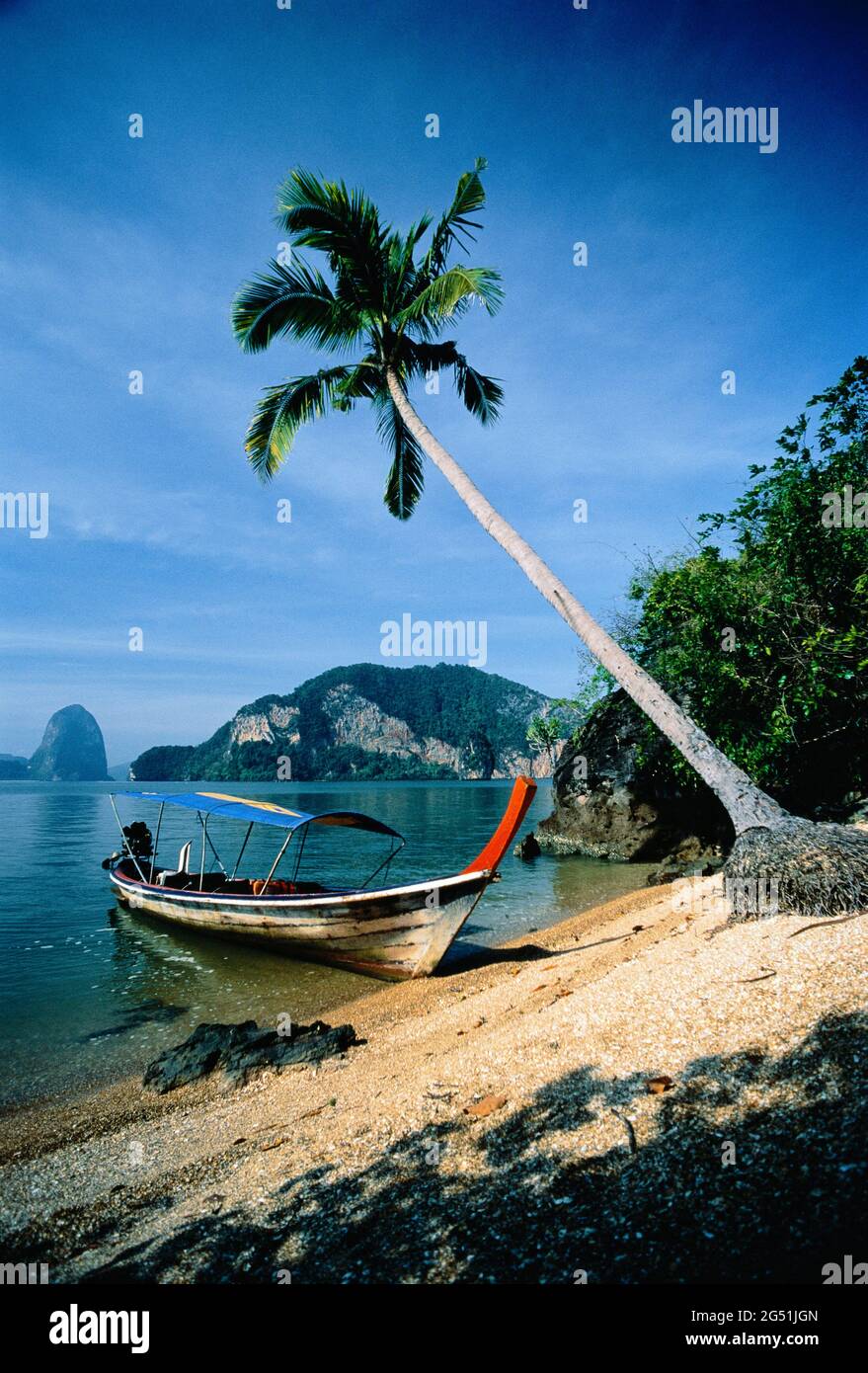 Langboot, Strand und Palmen, Ao Phangnga, Thailand Stockfoto
