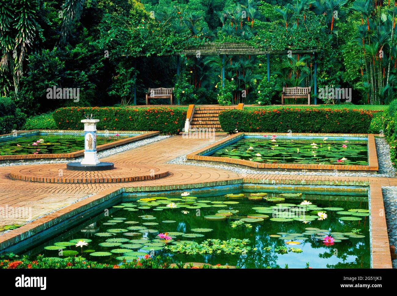 Teiche und Pflanzen im Botanischen Garten von Singapur, Singapur Stockfoto