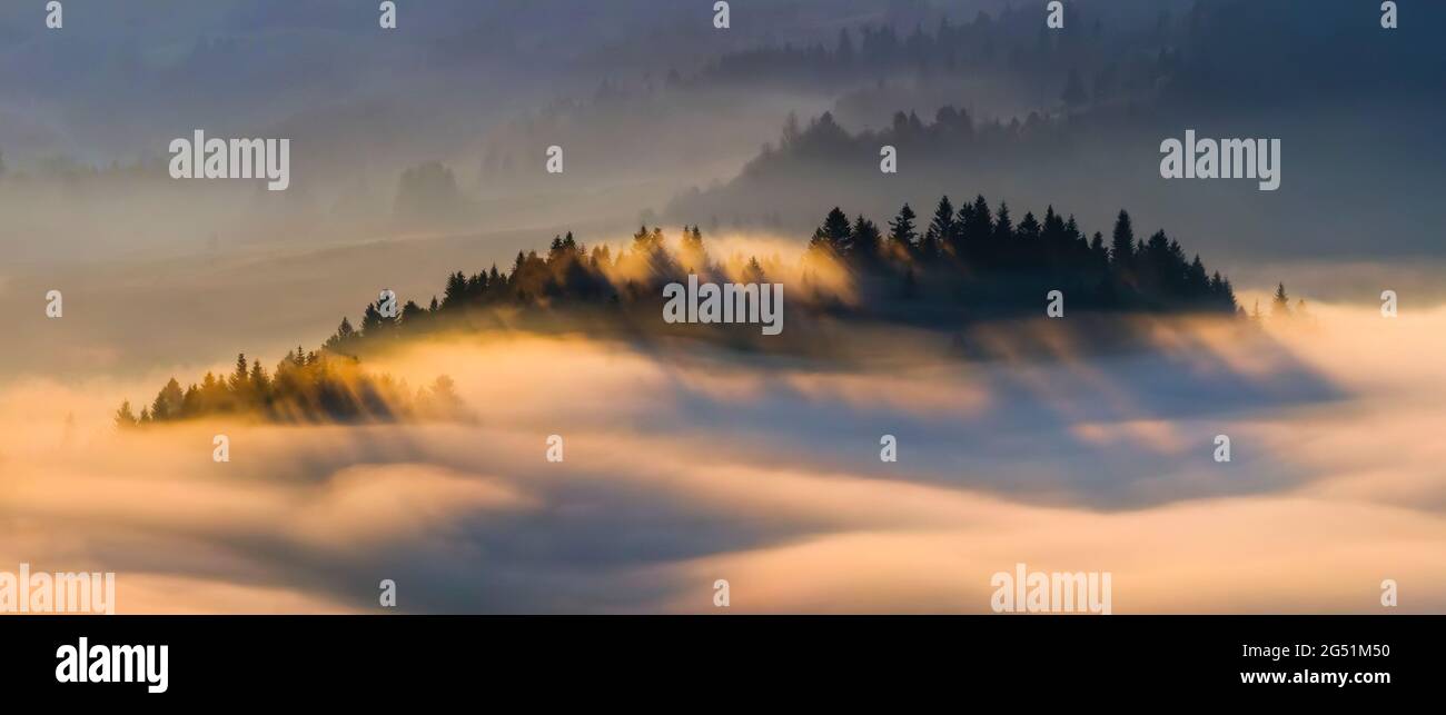 Nebel in den Bergen bei Sonnenaufgang, Pieniny, Woiwodschaft Kleinpolen, Polen Stockfoto
