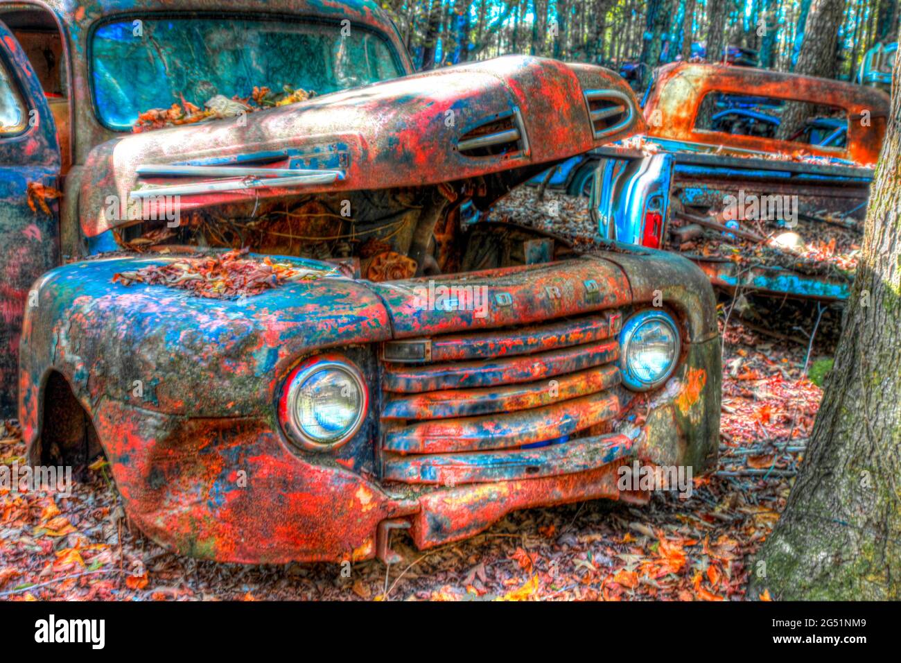 Alte verlassene rostige Autos im Wald Stockfoto