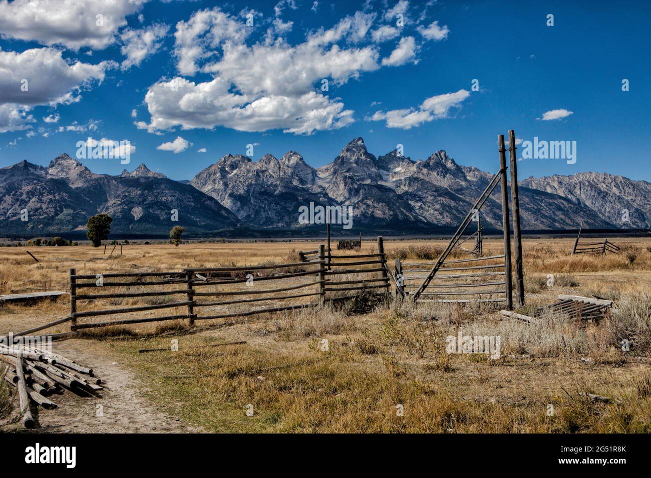 Landschaft mit Bergkette und Feld, Grand Teton National Park, Wyoming, USA Stockfoto