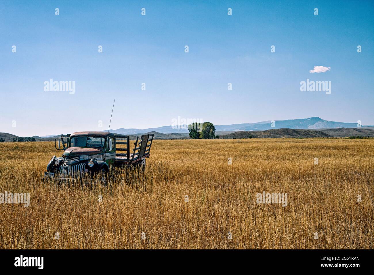 Alte verlassene Abholung im Feld, Wyoming, USA Stockfoto