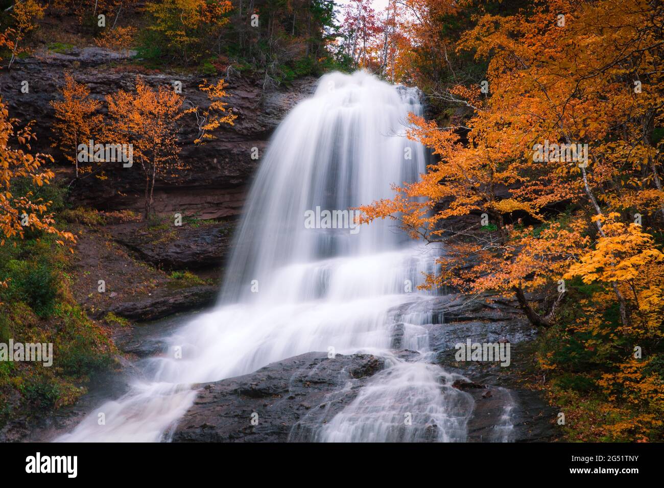 Nahaufnahme des hohen Wasserfallflusses in der Herbstsaison. Sprudelnde Wasserfalle in einer herbstlichen Waldlandschaft. Blick auf die Beulach Ban Wasserfälle in Cape Breton. Stockfoto