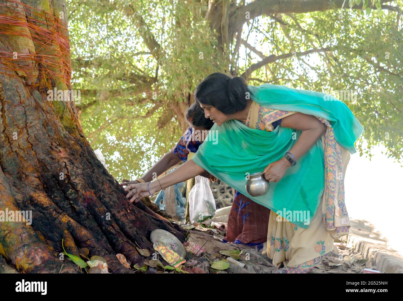 Indische Frauen verehren den Baum, nachdem sie ihn mit einem roten Faden gebunden und segnet haben, während sie am jahrhundertealten Ritual des Betens des Peepalbaums teilnehmen. Stockfoto