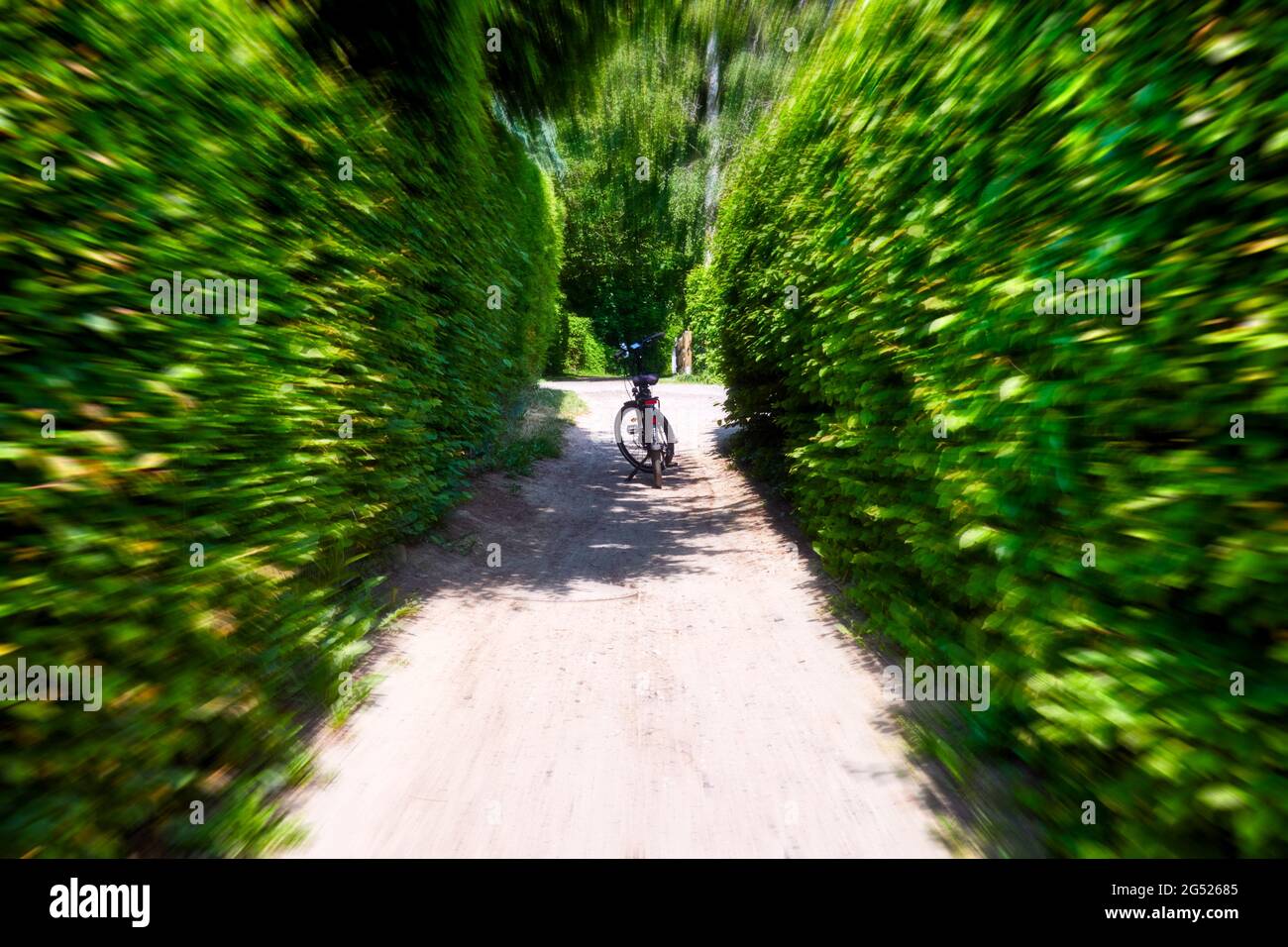 Abstraktes Bild mit Zoom-Effekt eines Fahrrads, das am Ende eines dicht bewachsenen grünen Hohlweges steht, zentrale Perspektive mit Bewegungsunschärfe Stockfoto