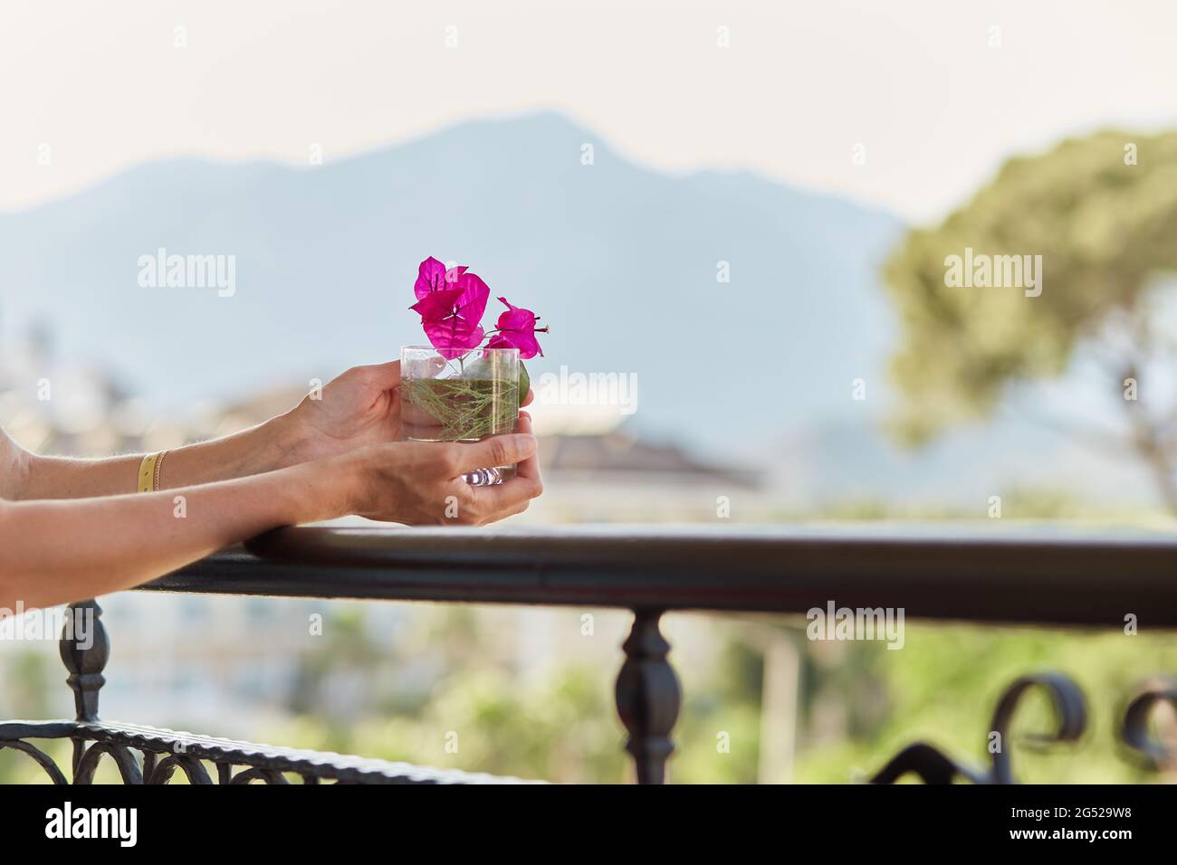 Das Mädchen hält in ihren Händen ein Glas mit einem Zweig von leuchtend rosa Blumen vor den Bergen. Sommer Tapete aus nächster Nähe. Stockfoto