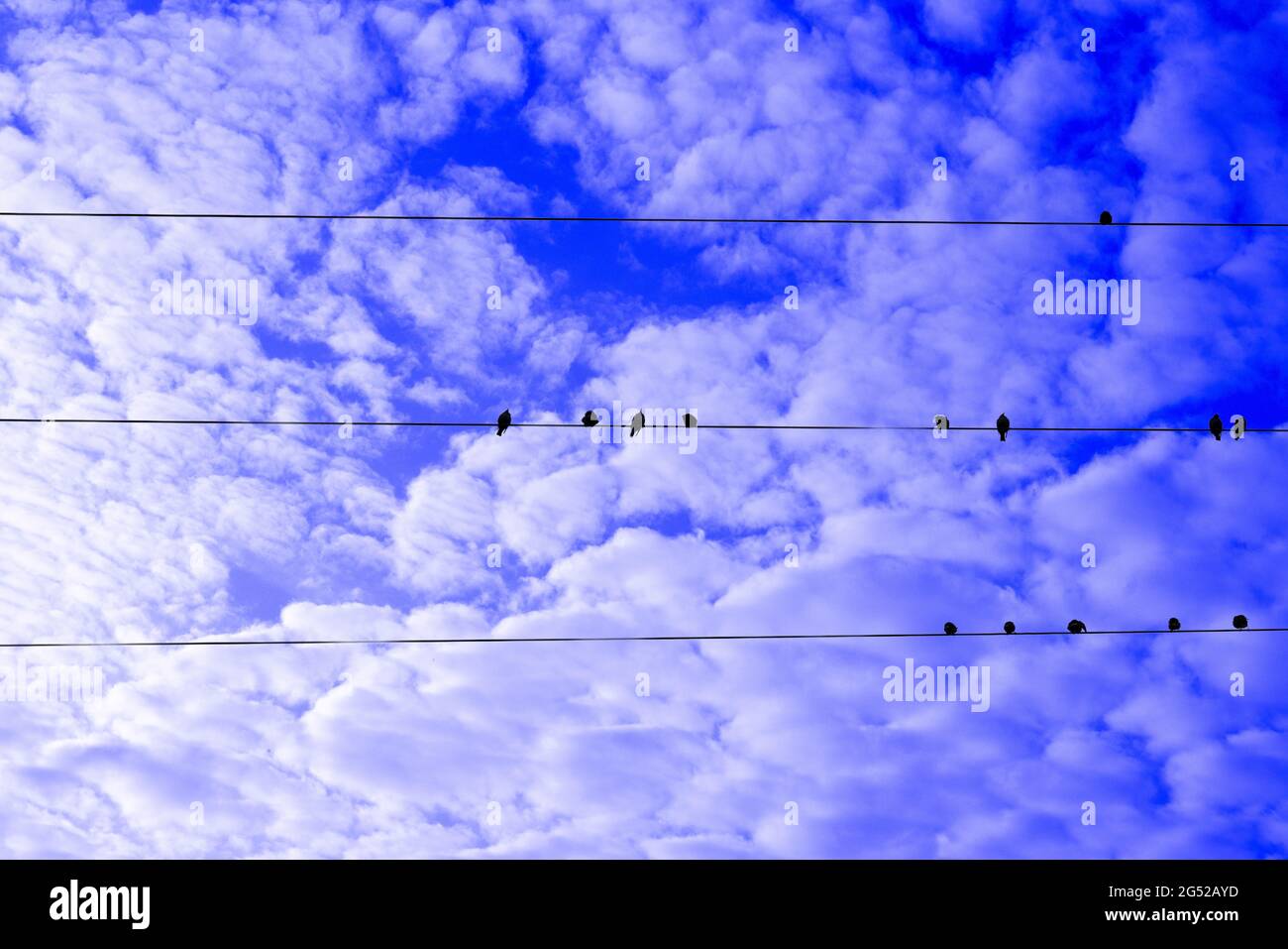 Landschaftsbilder mit Wolken und Vögeln im Freien in Deutschland bei Tageslicht fotografiert und bearbeitet Stockfoto
