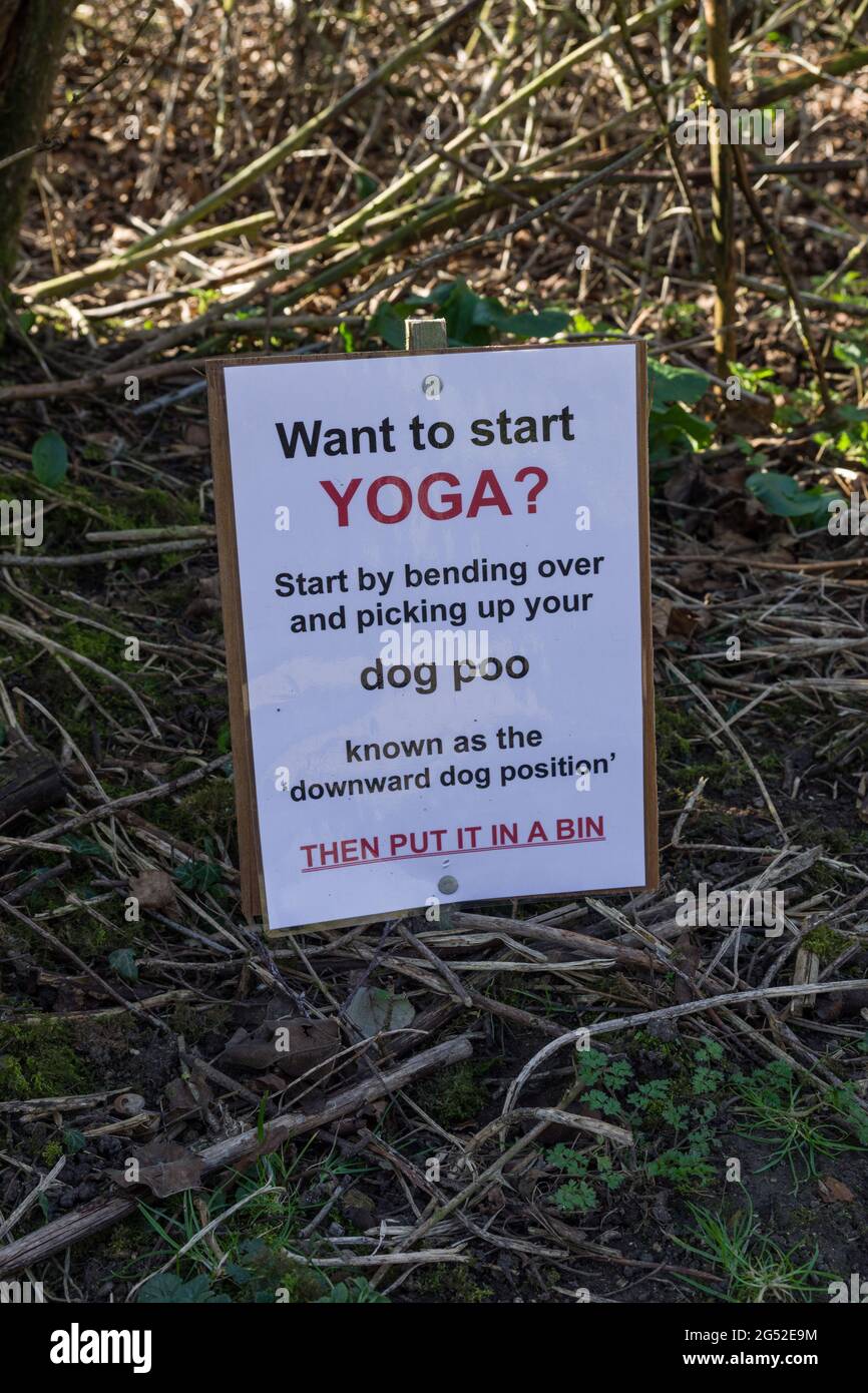 Humorvolles Yoga-basiertes Zeichen, das Hundespaziergänger ermutigt, Hundekot abzuholen, Großbritannien Stockfoto