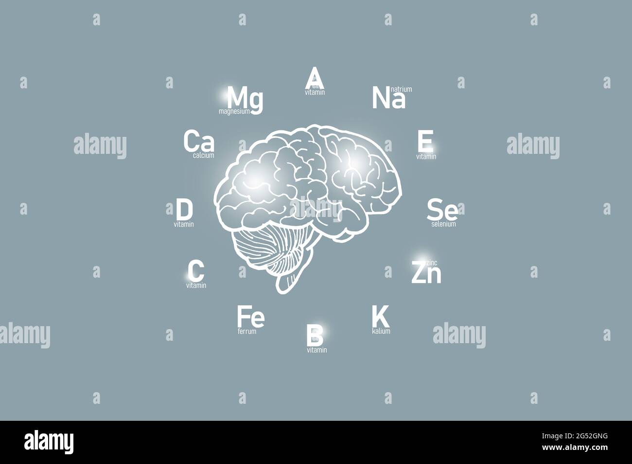 Stilisiertes Zifferblatt mit lebenswichtigen Vitaminen und Mikroelementen für die menschliche Gesundheit, handgezeichnetes Gehirn, grauer Hintergrund. Design-Modell für Gesundheitskonzepte. Stockfoto