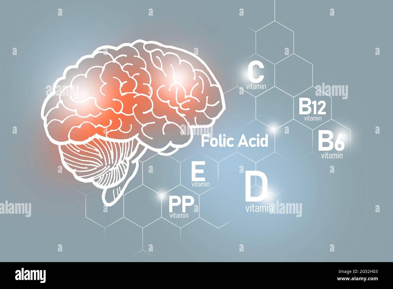 Essentielle Nährstoffe für die Gesundheit des Gehirns, einschließlich Vitamin C, Vitamin B, Folsäure, Vitamin PP. Design-Set der wichtigsten menschlichen Organe mit Vitaminen Stockfoto