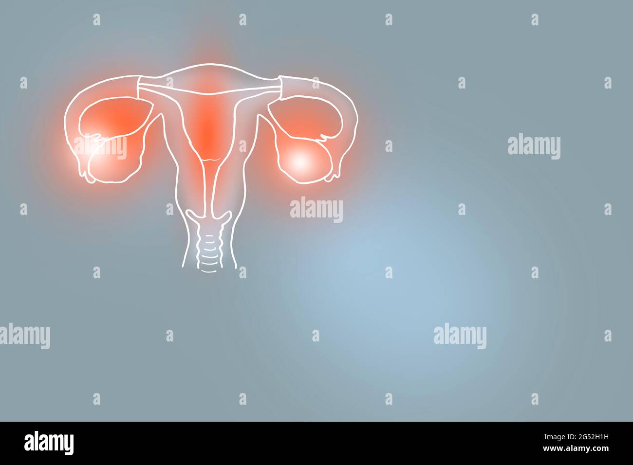 Handgezeichnete Illustration des menschlichen Uterus auf hellgrauem Hintergrund. Medizin, Wissenschaftsset mit menschlichen Hauptorganen mit leerem Kopierraum für Text Stockfoto