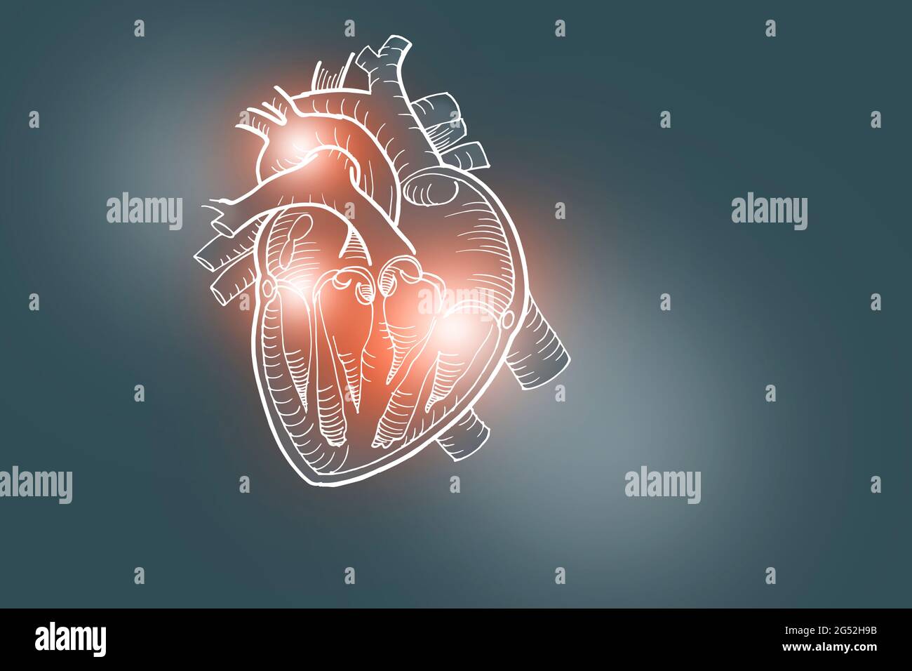 Handgezeichnete Darstellung des menschlichen Herzens auf dunkelgrauem Hintergrund. Medizin, Wissenschaftsset mit menschlichen Hauptorganen mit leerem Kopierraum für Text Stockfoto