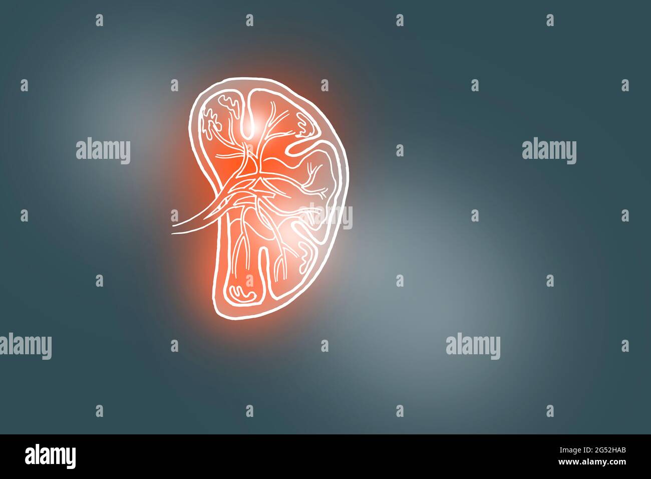 Handgezeichnete Illustration der menschlichen Milz auf dunkelgrauem Hintergrund. Medizin, Wissenschaftsset mit menschlichen Hauptorganen mit leerem Kopierraum für Text Stockfoto