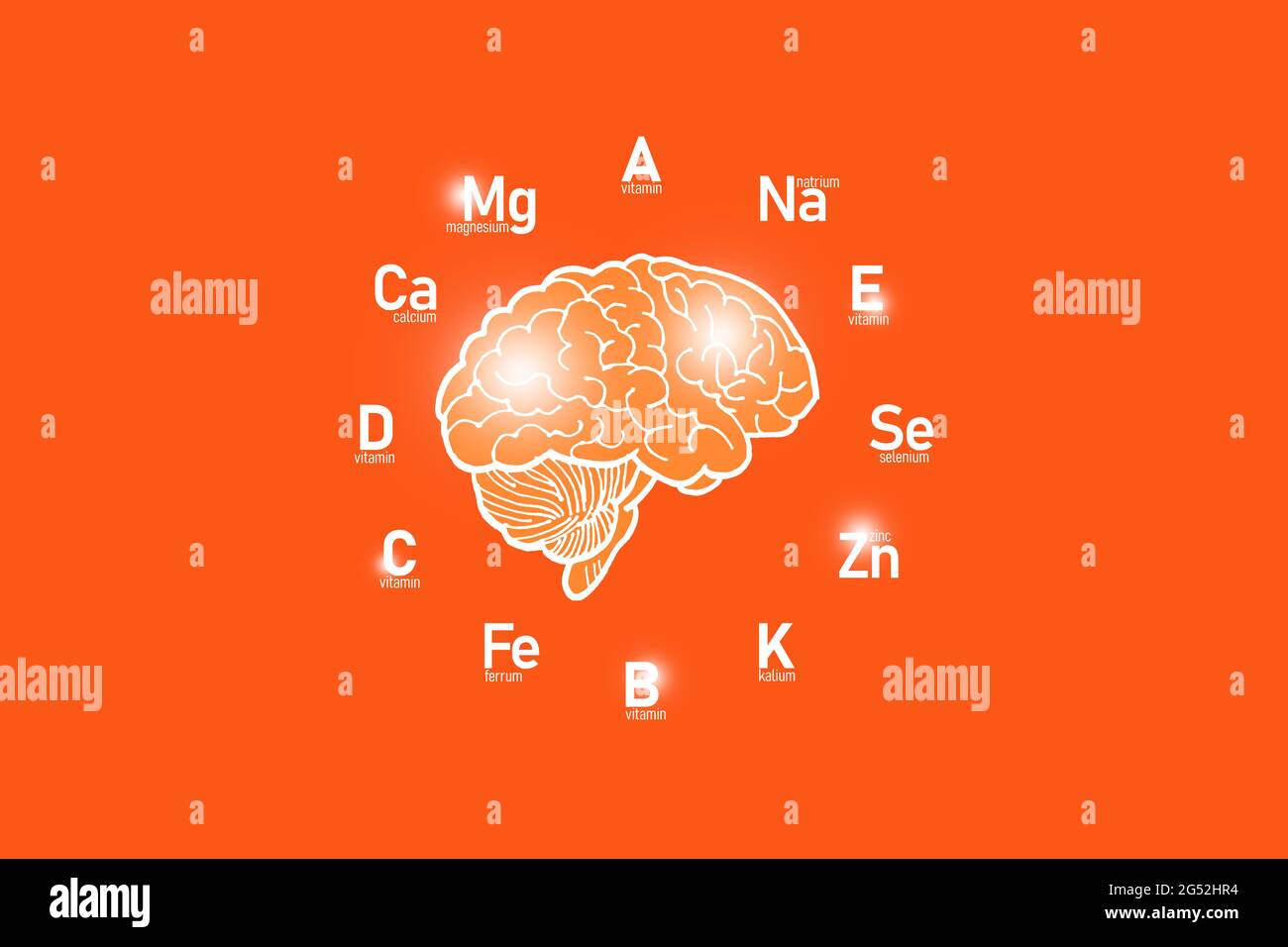Stilisiertes Zifferblatt mit lebenswichtigen Vitaminen und Mikroelementen für die menschliche Gesundheit, handgezeichnetes Gehirn, roter Hintergrund. Design-Modell für das Gesundheitswesen. Stockfoto