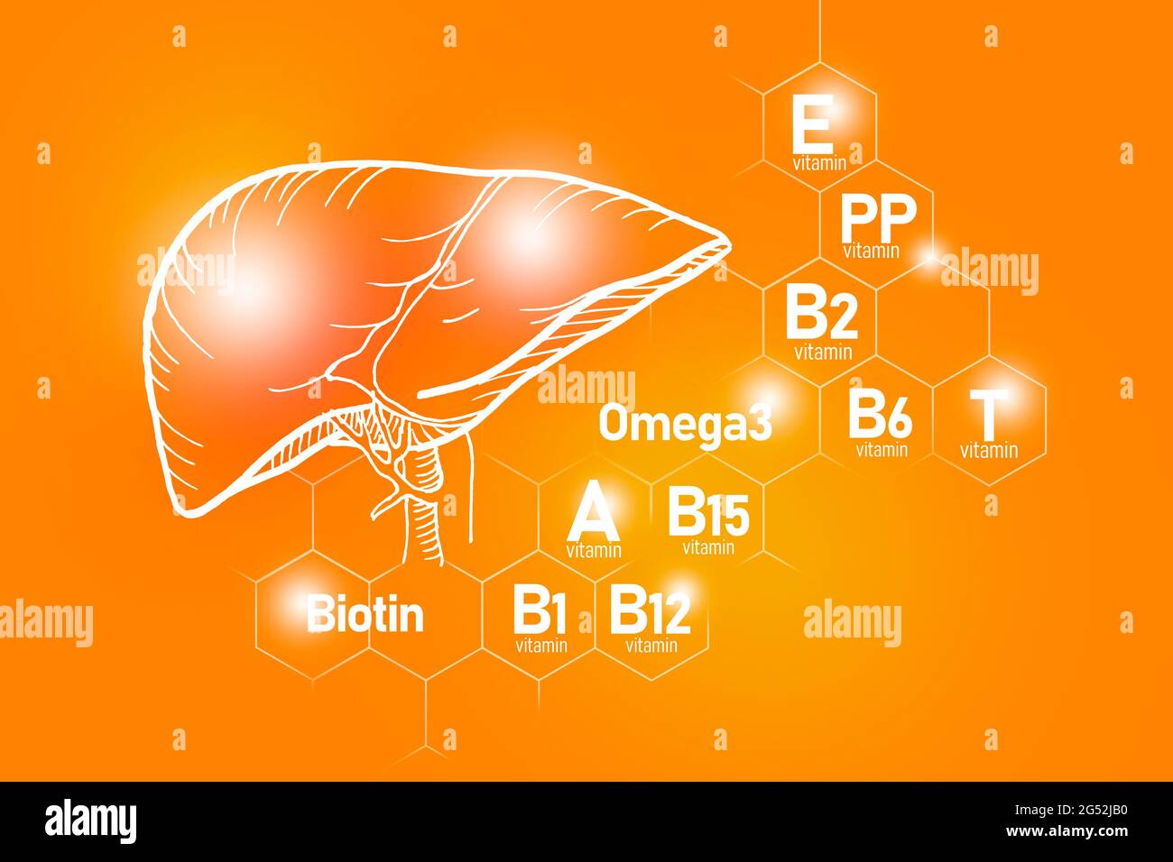 Essentielle Nährstoffe für die Gesundheit der Leber einschließlich Omega-3, Carnitin, Biotin, Vitamin PP, Vitamin B. Design-Set der wichtigsten menschlichen Organe mit Vitaminen Stockfoto