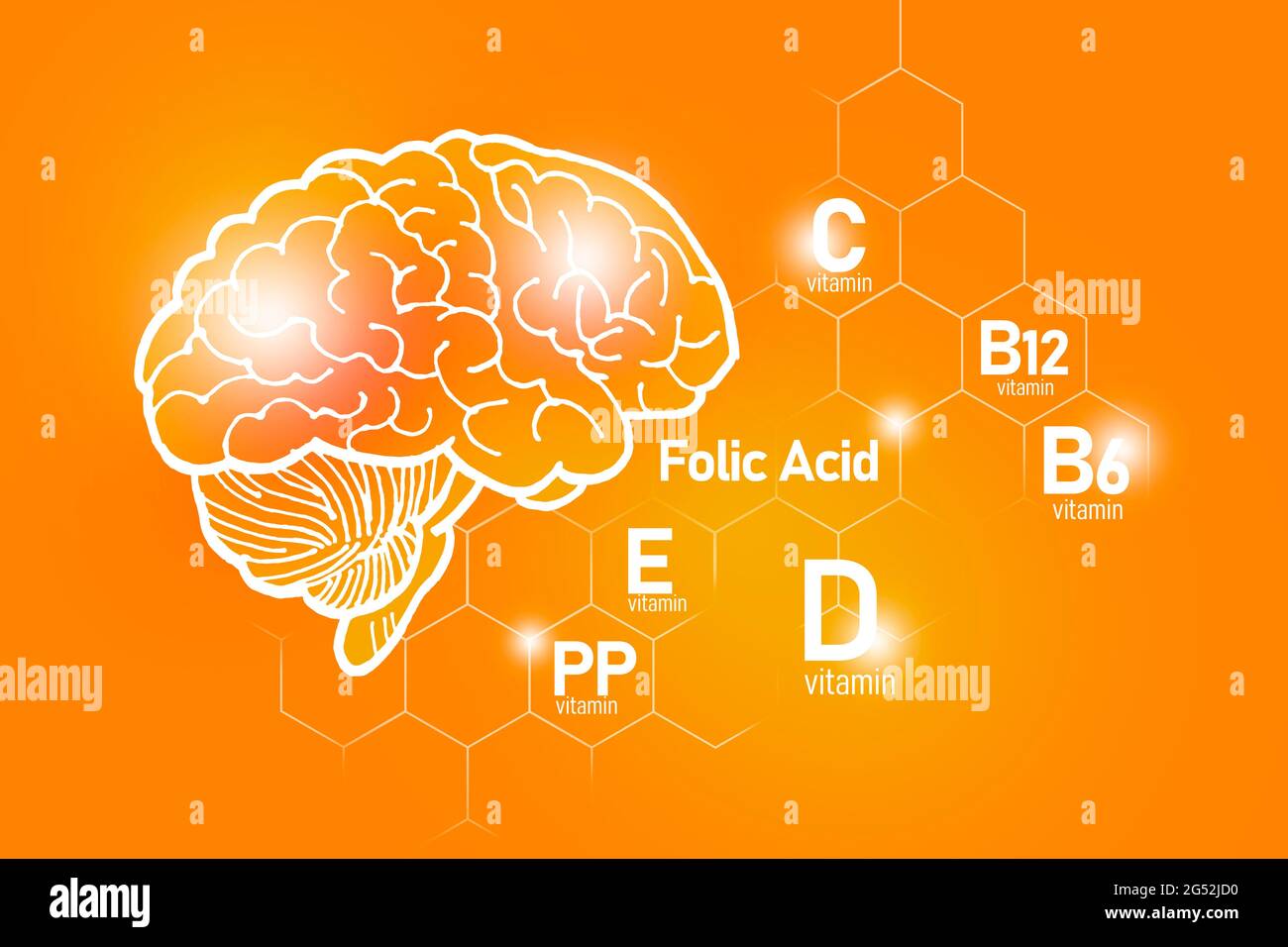 Essentielle Nährstoffe für die Gesundheit des Gehirns, einschließlich Vitamin C, Vitamin B, Folsäure, Vitamin PP. Design-Set der wichtigsten menschlichen Organe mit Vitaminen Stockfoto