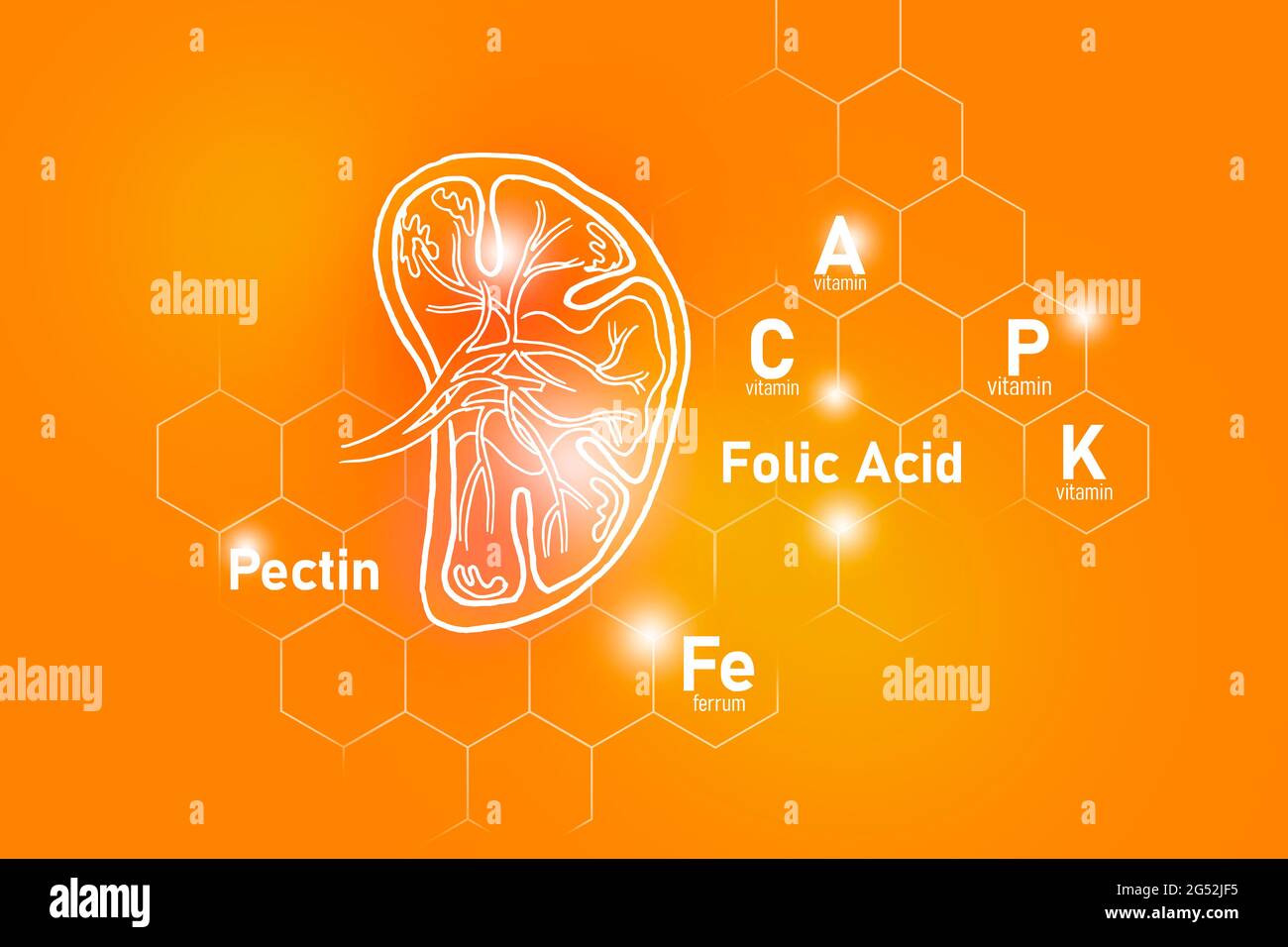 Essentielle Nährstoffe für die Milzgesundheit, einschließlich Pektin, Folsäure, Vitamin P, Ferrum.Design-Set der wichtigsten menschlichen Organe auf positivem orangenen Hintergrund. Stockfoto