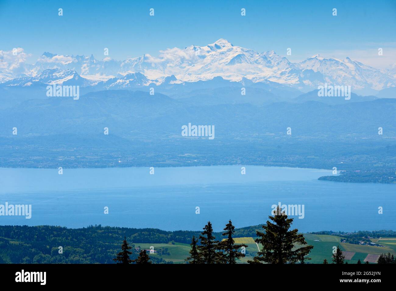 Blick über den Lac Leman vom Schweizer Jura mit dem Mont Blanc in der Ferne Stockfoto