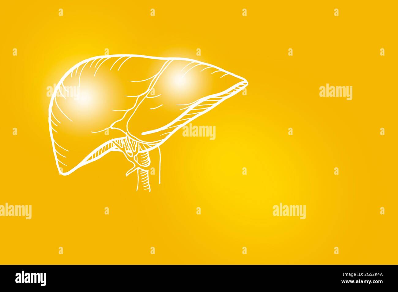 Handgezeichnete Illustration der menschlichen Leber auf gelbem Hintergrund. Medizin, Wissenschaftsset mit menschlichen Hauptorganen mit leerem Kopierraum für Text oder Infografik. Stockfoto