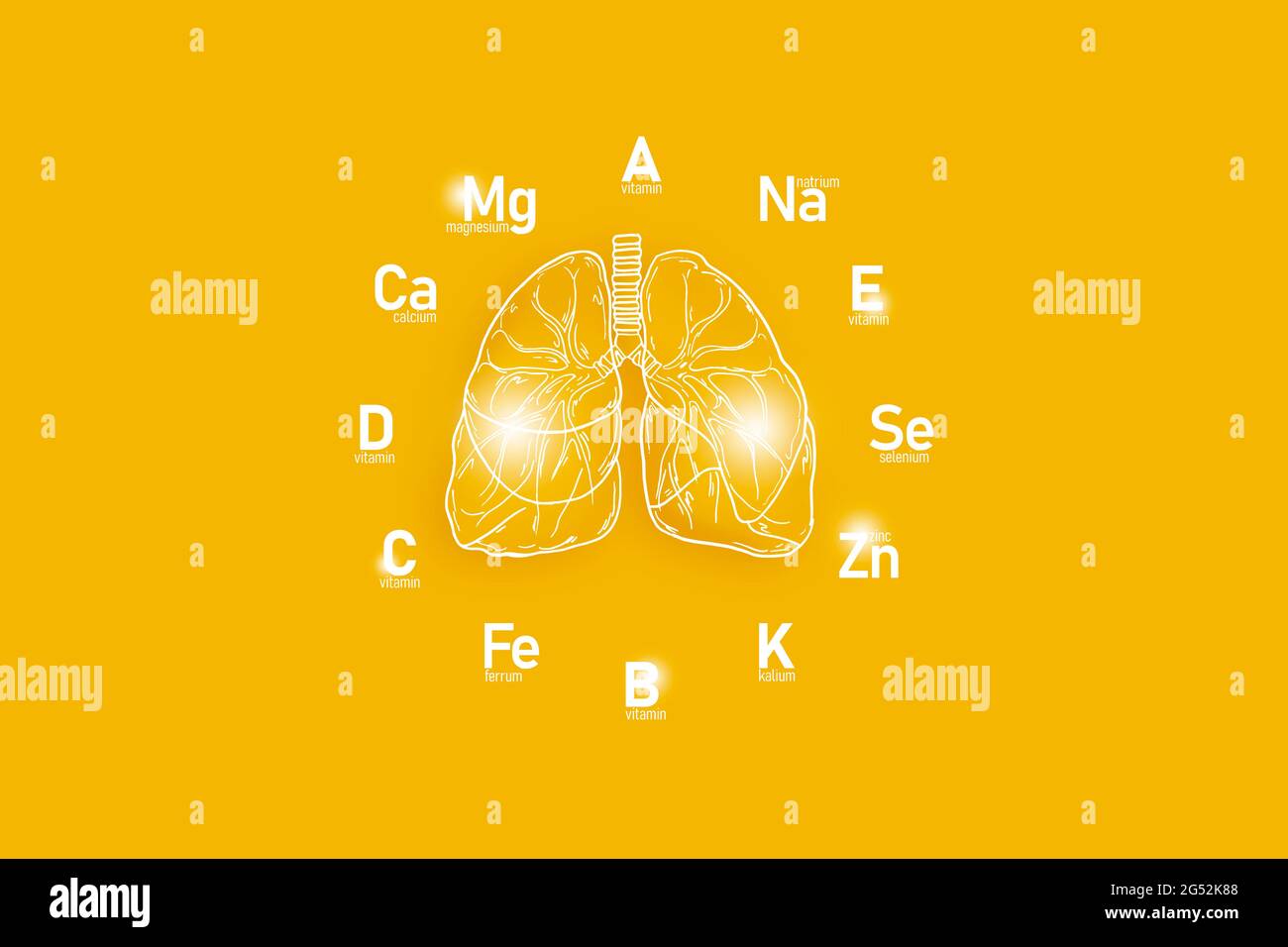 Stilisiertes Zifferblatt mit lebenswichtigen Vitaminen und Mikroelementen für die menschliche Gesundheit, handgezeichnete Lungen, gelber Hintergrund. Stockfoto