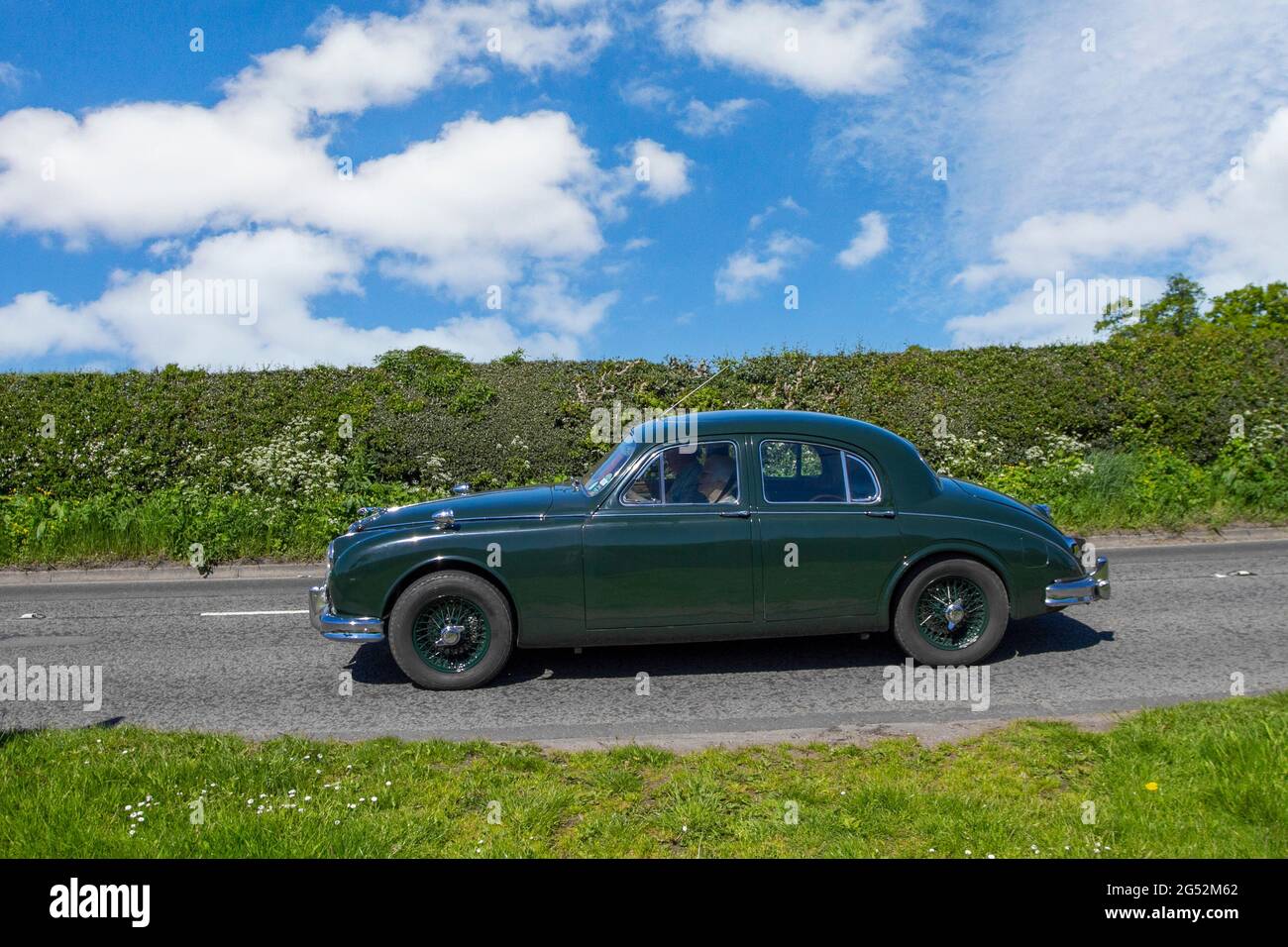 1959 50er Jahre grüne Jaguar Mk II Luxuslimousine auf dem Weg zur Capesthorne Hall classic May Car Show, Ceshire, Großbritannien Stockfoto