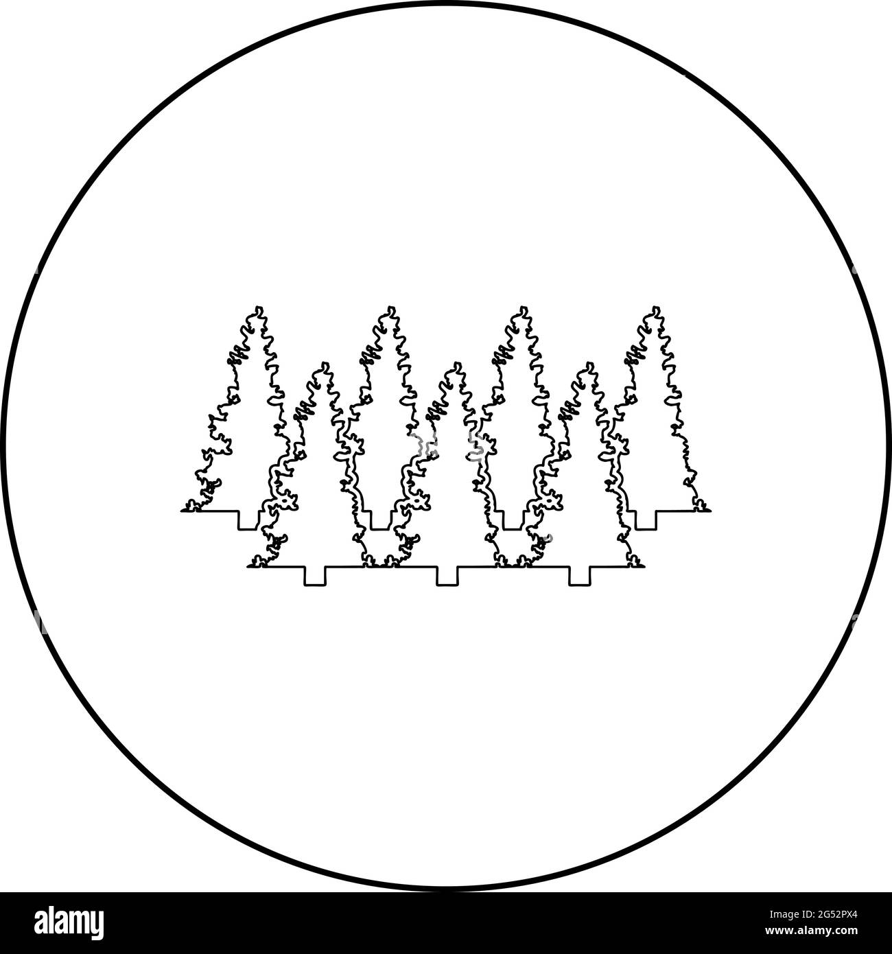 Tannenbaum Weihnachten Nadelbäume Fichte Kiefernwald Evergreen Wälder Nadelbaum Silhouette im Kreis rund schwarz Farbe Vektor Illustration Kontur Kontur Stock Vektor