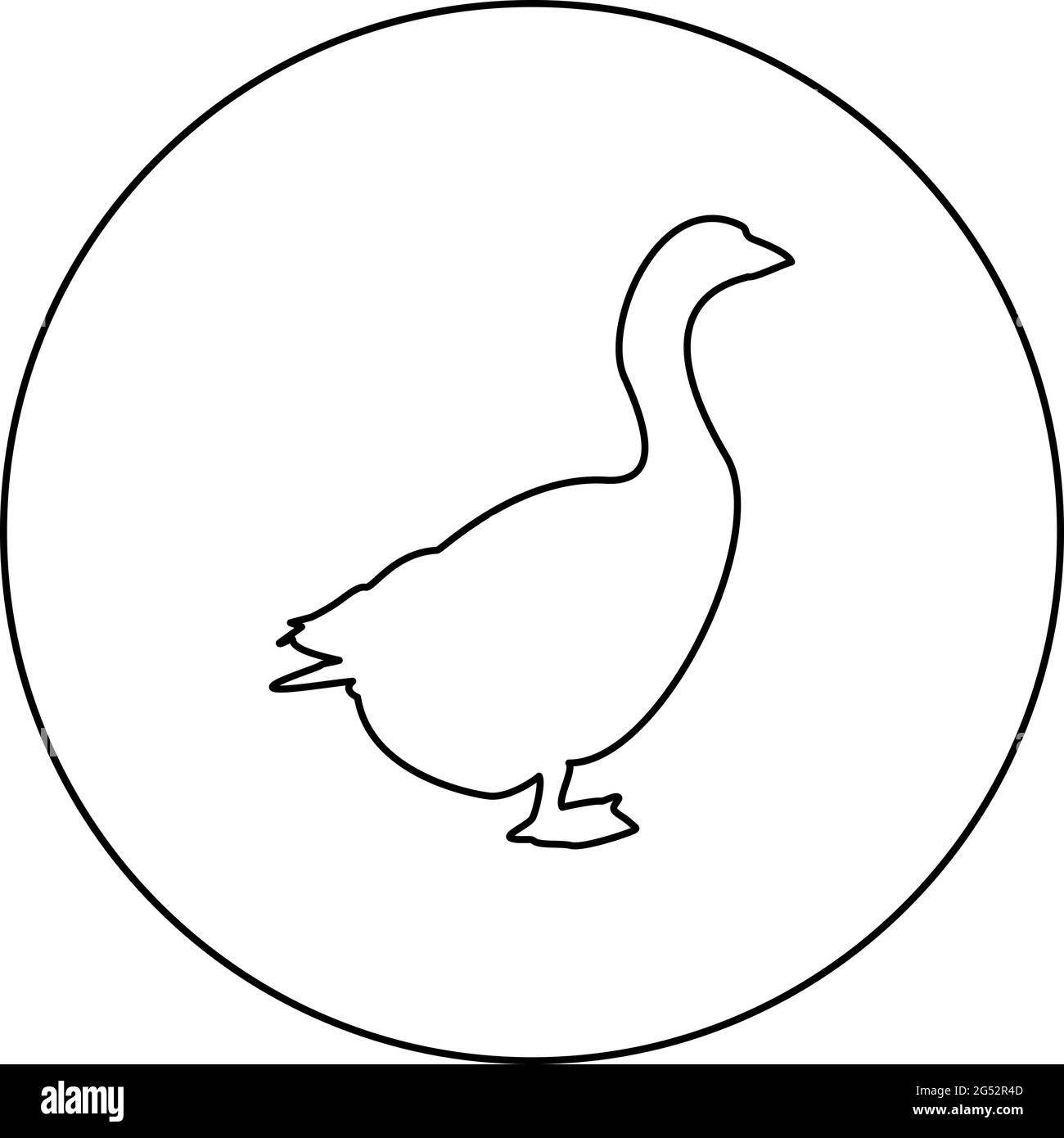 Goose Gosling Gänse Anser Gander Silhouette im Kreis rund schwarz Farbe Vektor Illustration Kontur Kontur Stil Bild einfaches Bild Stock Vektor