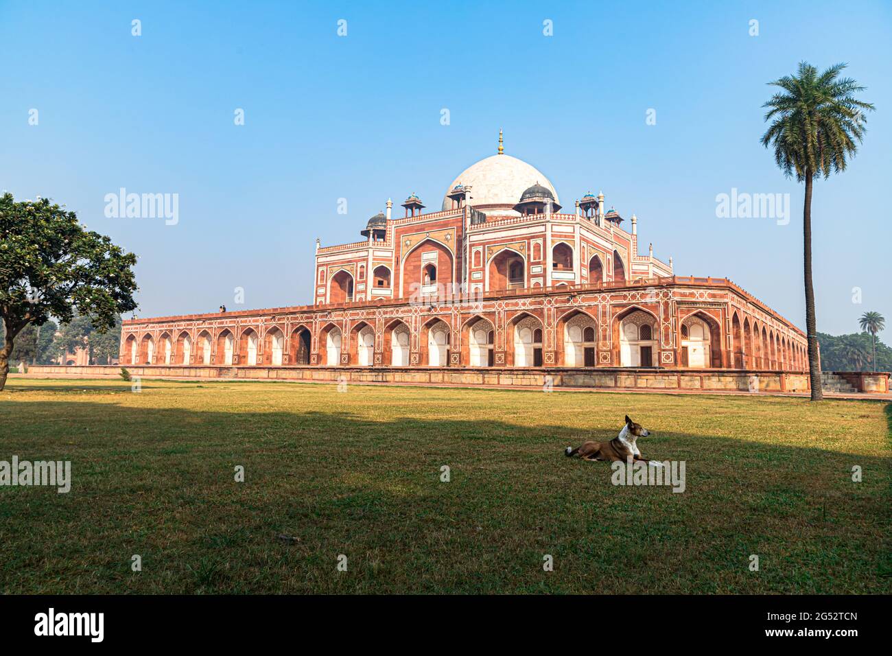 Ein Hund schläft am humayun Grab in delhi indien.Dies ist das Grab des moghul-Kaiser humayun. Stockfoto