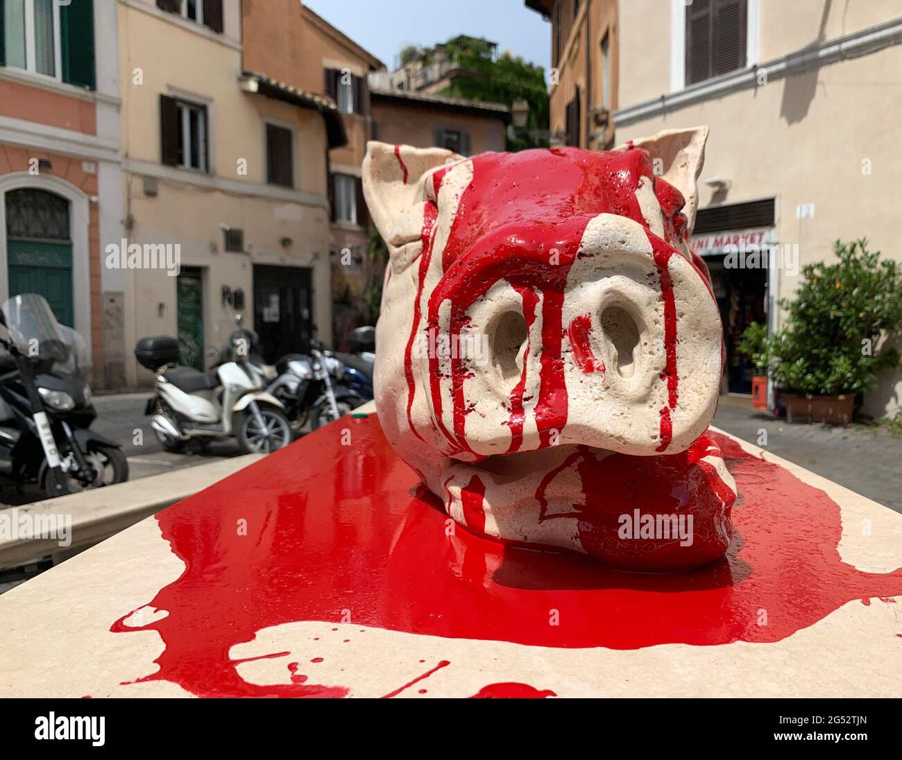 Rom, Italien. Juni 2021. Unbekannte haben die Statue des Spanferkel auf einem kleinen Platz im beliebten Ausgehviertel Trastevere mit roter Farbe übergossen. Die Arbeit stellt eine sogenannte Porchetta dar - ein traditionelles Gericht, für das ein Spanferkel zusammengebunden und auf einem Spieß zubereitet wird. Es wurde von der Universität der Schönen Künste der italienischen Hauptstadt errichtet. (Dpa 'Paint Attack on suckling pig Statue in Romee') Quelle: Johannes Neudecker/dpa/Alamy Live News Stockfoto