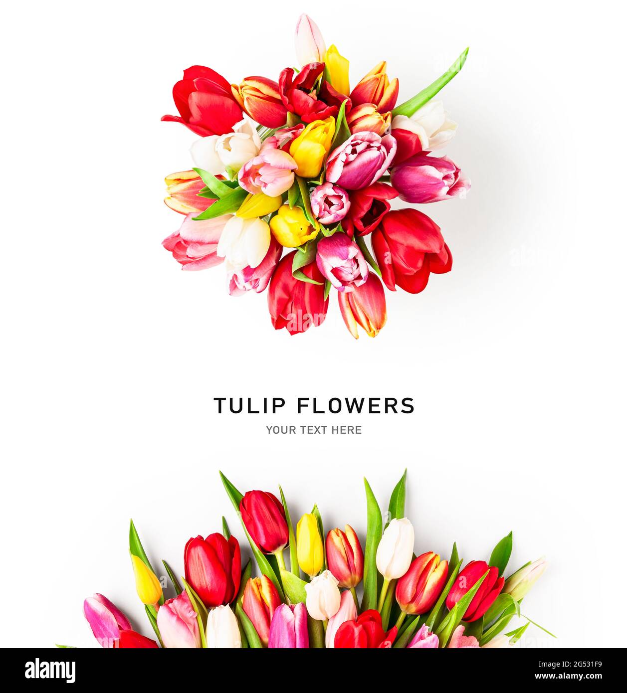 Bouquet von Tulpen. Komposition und Layout aus bunten Tulpenblüten isoliert auf weißem Hintergrund. Draufsicht, flacher Lay- und Kopierbereich. Designeleme Stockfoto