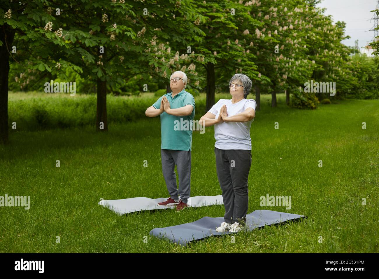 Ältere Männer und Frauen, die in einem grünen Sommerpark Fitnessübungen oder Yoga praktizieren Stockfoto