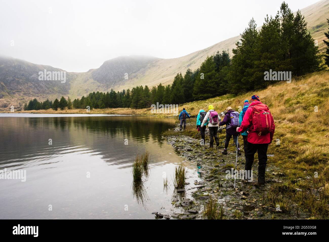 Wandergruppe, die um den Llynau Diwaunedd See nach Clogwyn Bwlch-y-maen und Carnedd y Cribau in Snowdonia in niedriger Wolke wandert Stockfoto