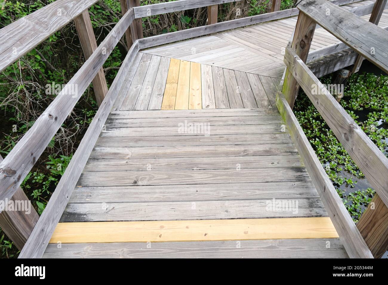 Blick nach unten auf den alten Boardwalk Trail im Tallahassee Tom Brown Park Stockfoto