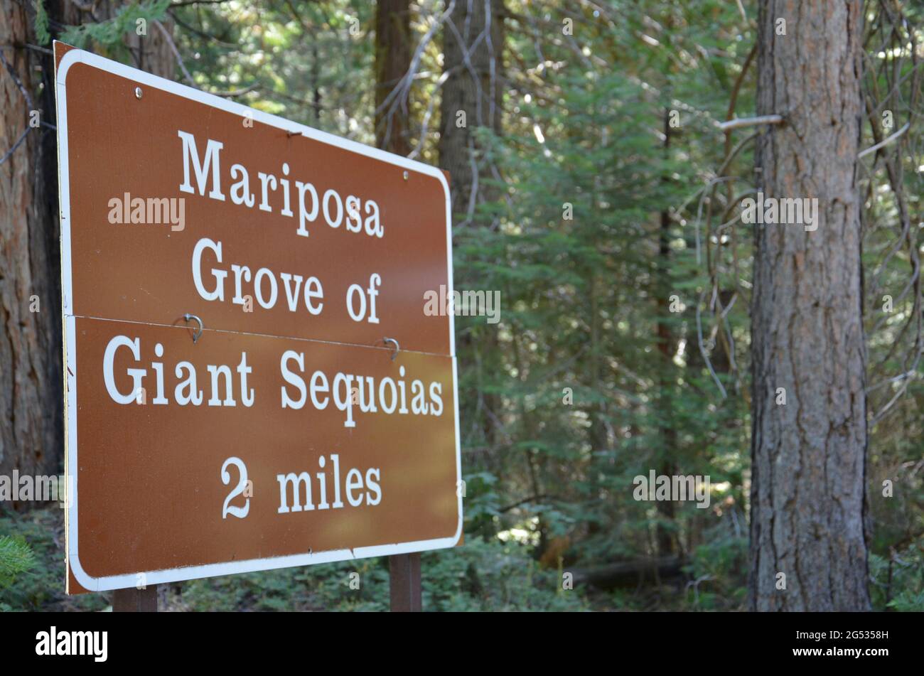 Mariposa Grove of Giant Sequoias Zeichen Stockfoto
