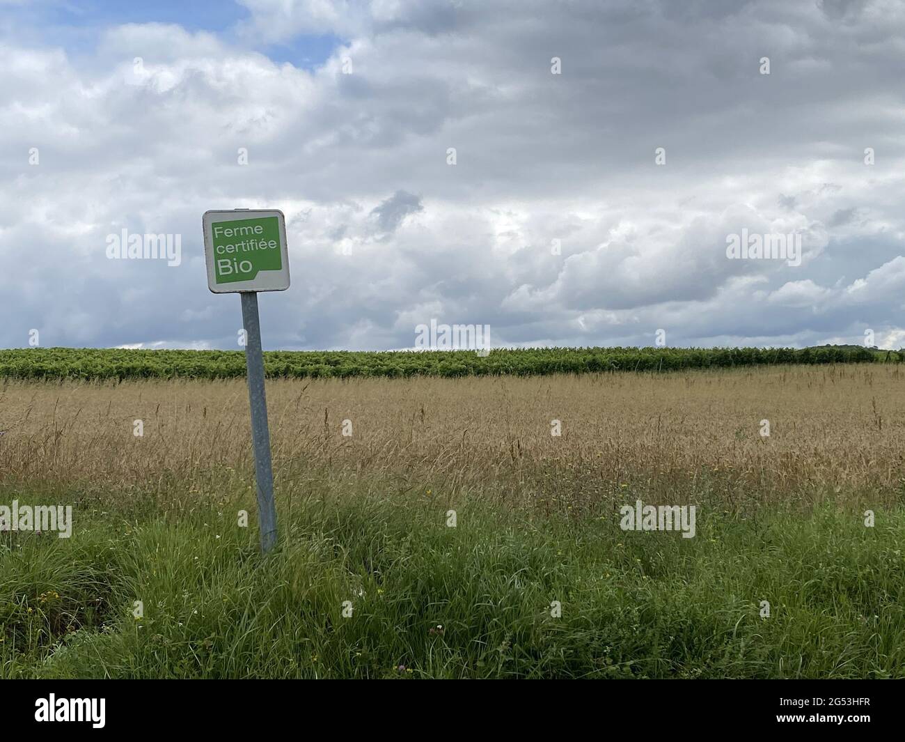 französischer Weinbaubetrieb mit Bio-Zertifikat Stockfoto