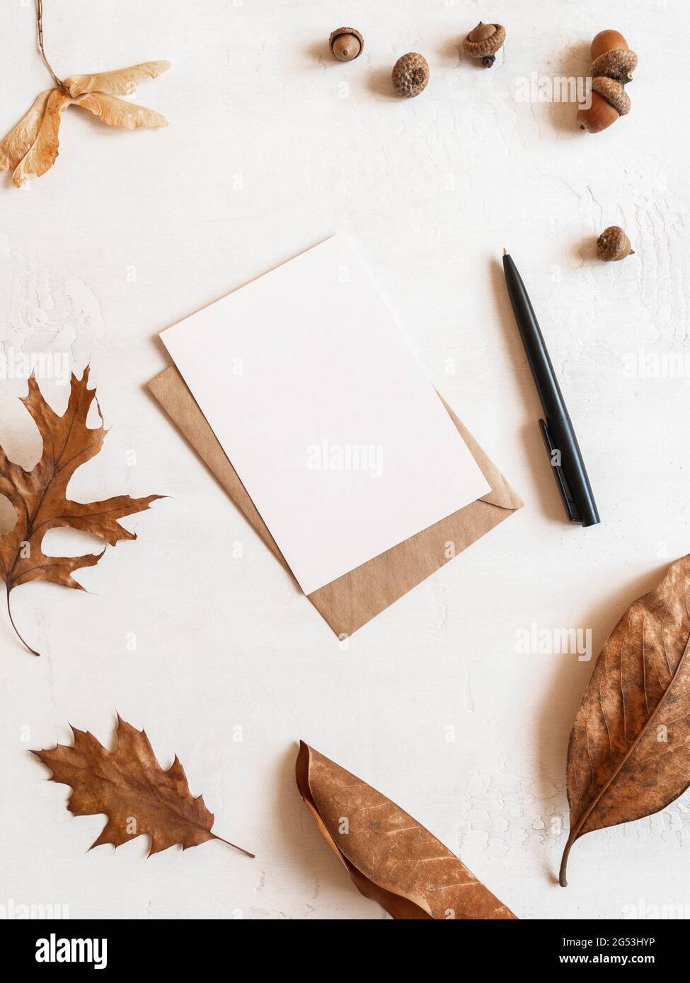 Rahmen aus verschiedenen Herbstblättern und Eicheln, Umschlag und Postkarte auf weißem Hintergrund. Draufsicht. Kopierbereich. Minimale Herbstzusammensetzung Stockfoto