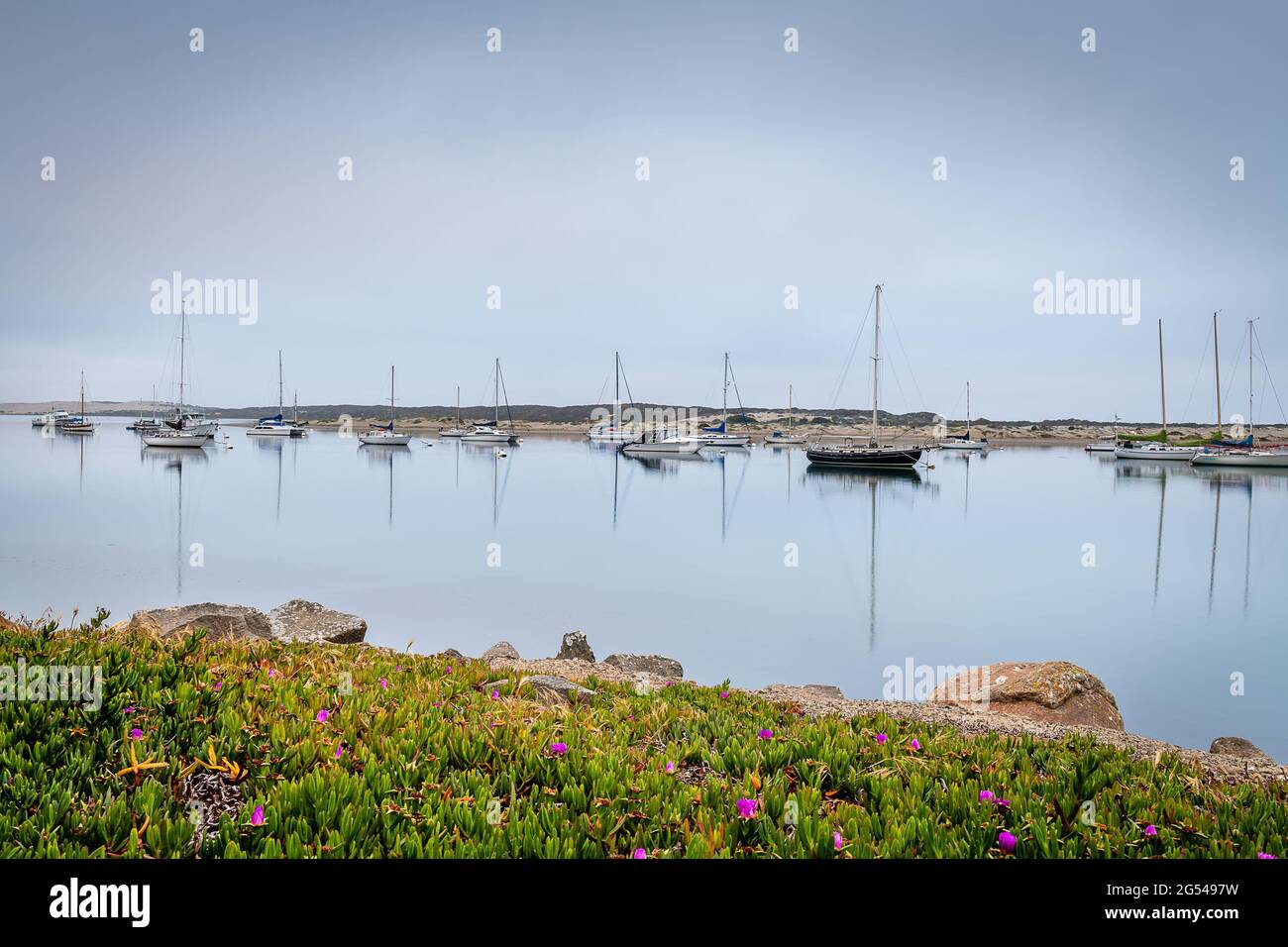 Morro Bay State Park Stockfoto