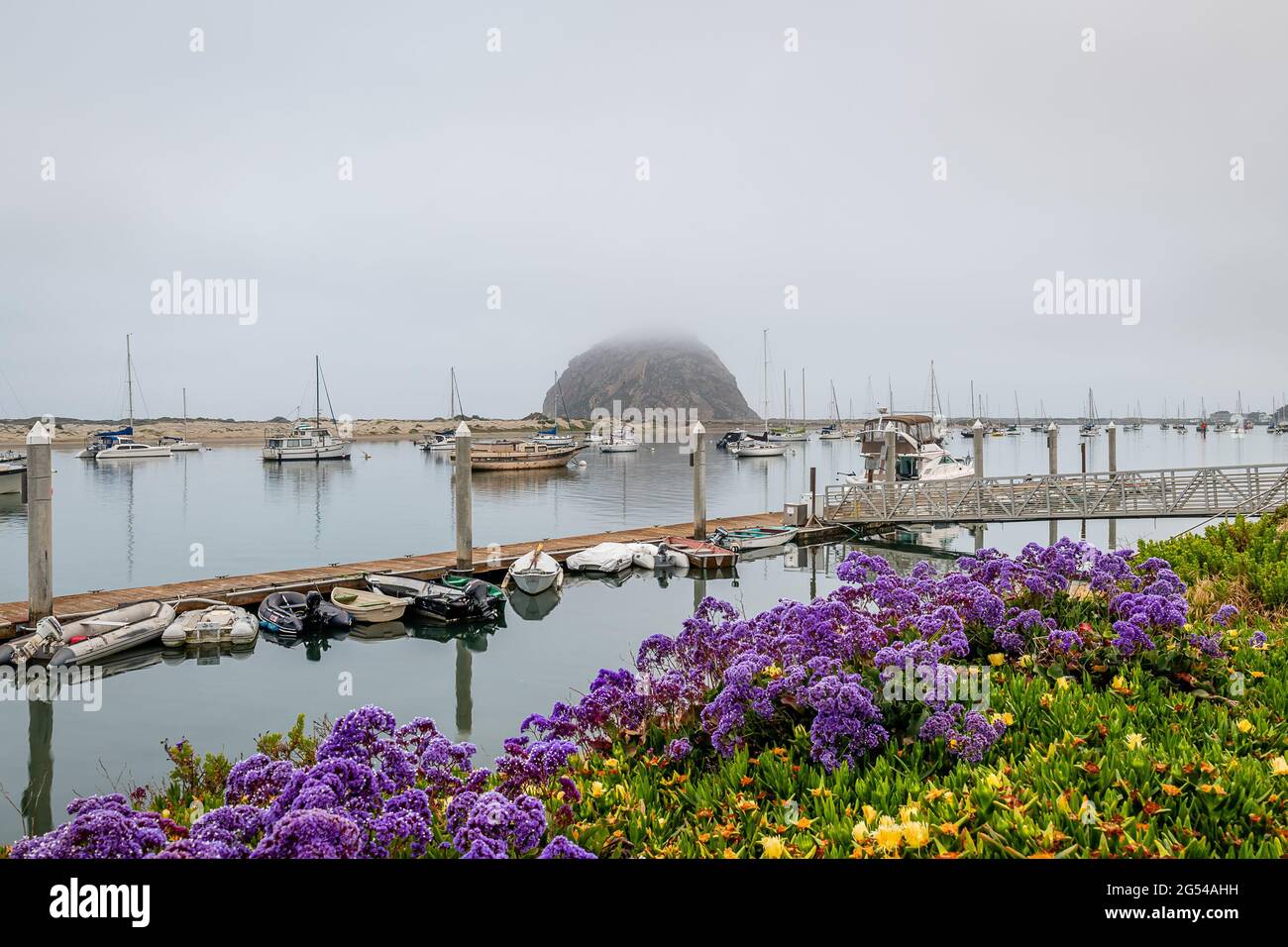 Morro Bay State Park Stockfoto