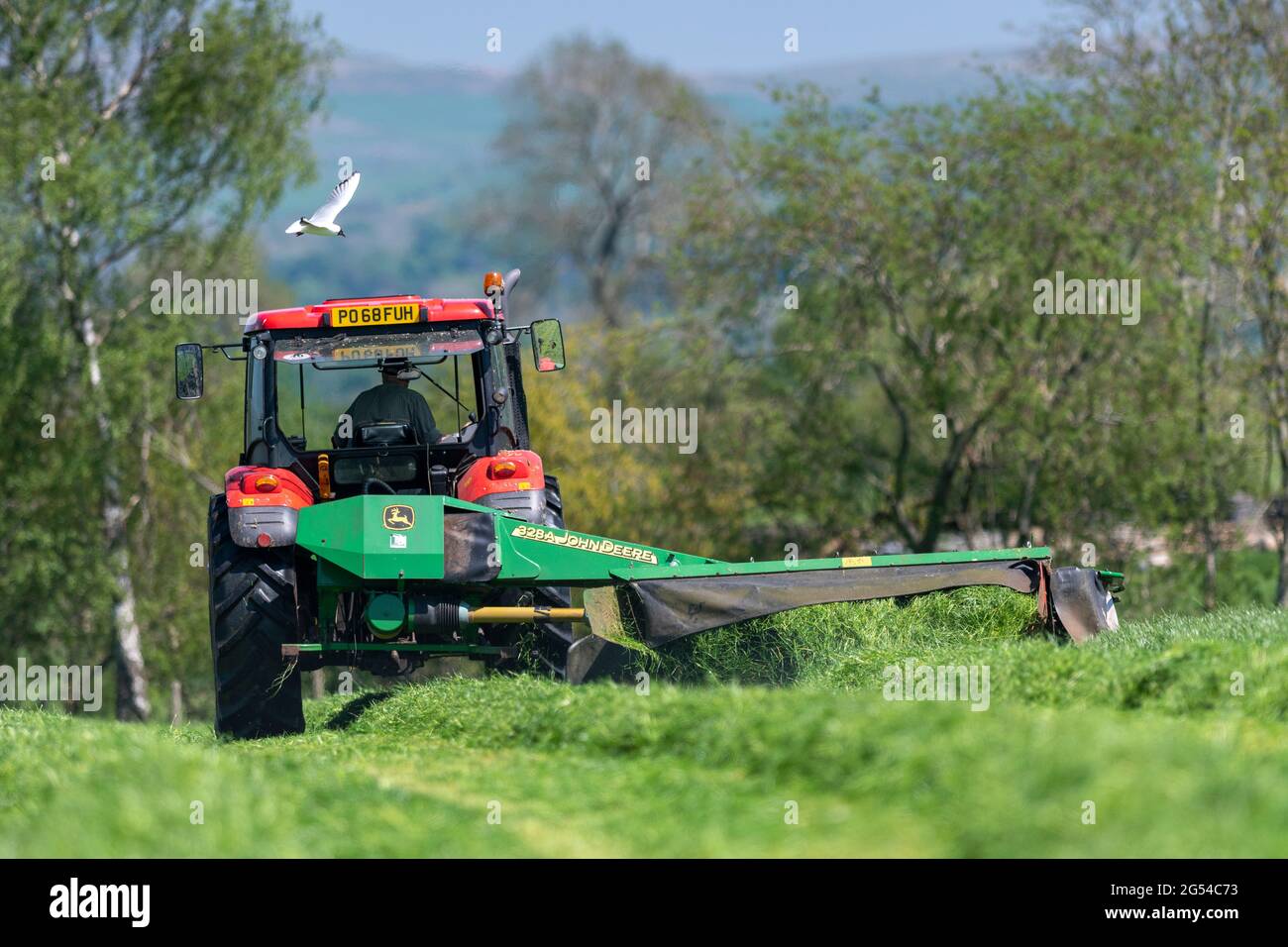 Mähen einer Silagewiese für den ersten Schnitt von Silage Anfang Juni für eine Milchherde. Kirkby Stephen, Cumbria, Großbritannien. Stockfoto