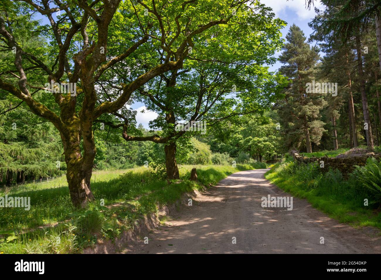 Machen Sie einen Rundweg um die Stauseen zwischen Holmfirth und den Pennine Hills in West Yorkshire, Nordengland. Stockfoto