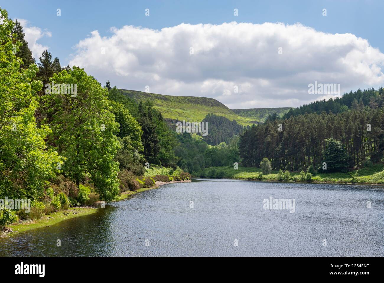 Riding Wood Reservoir zwischen Holmfirth und den Pennine Hills in West Yorkshire, Nordengland. Stockfoto