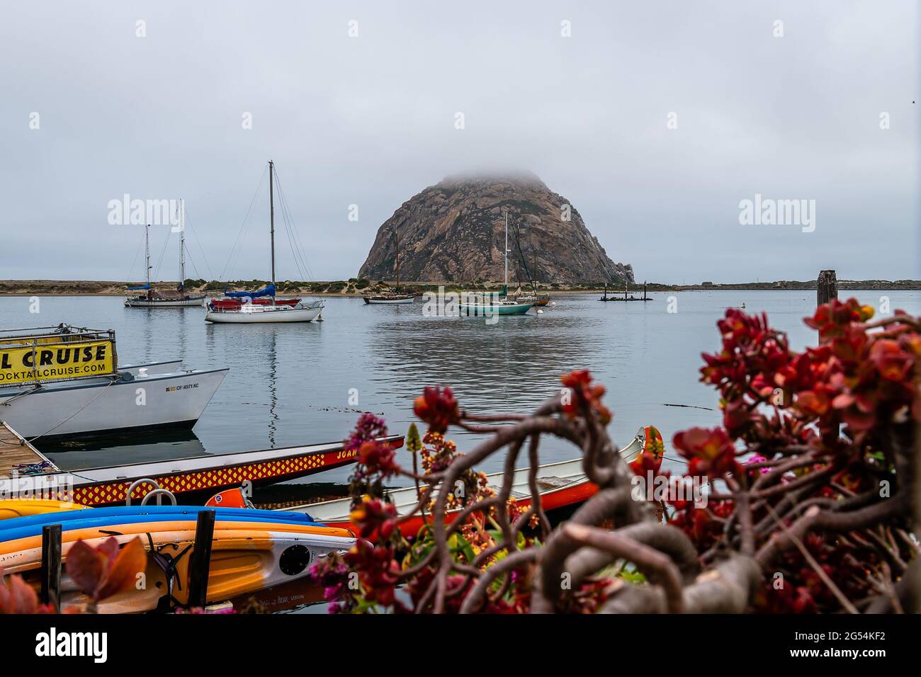 Morro Bay State Park Stockfoto