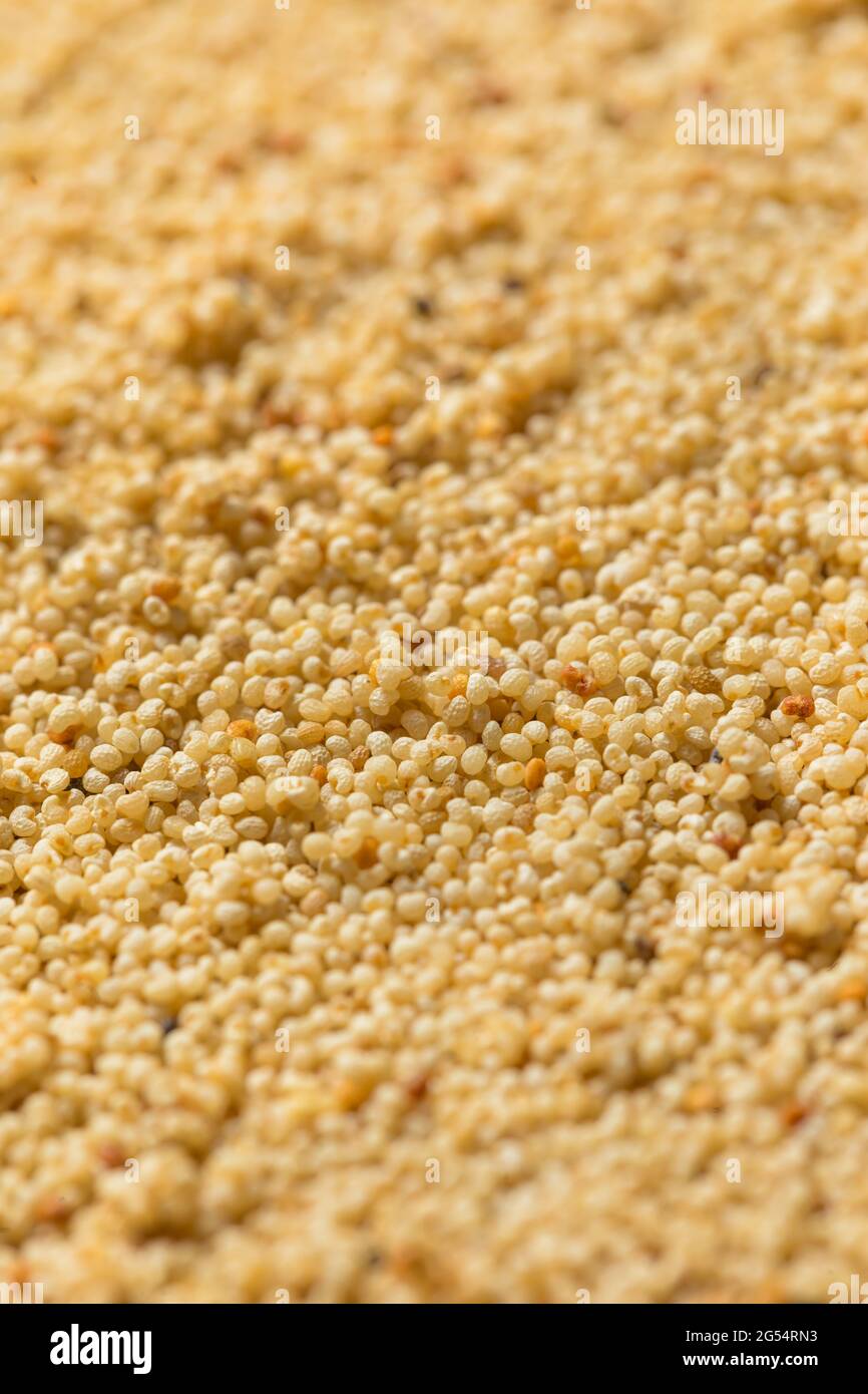 Organische trockene weiße Quinoa-Körnung in einer Schüssel Stockfoto