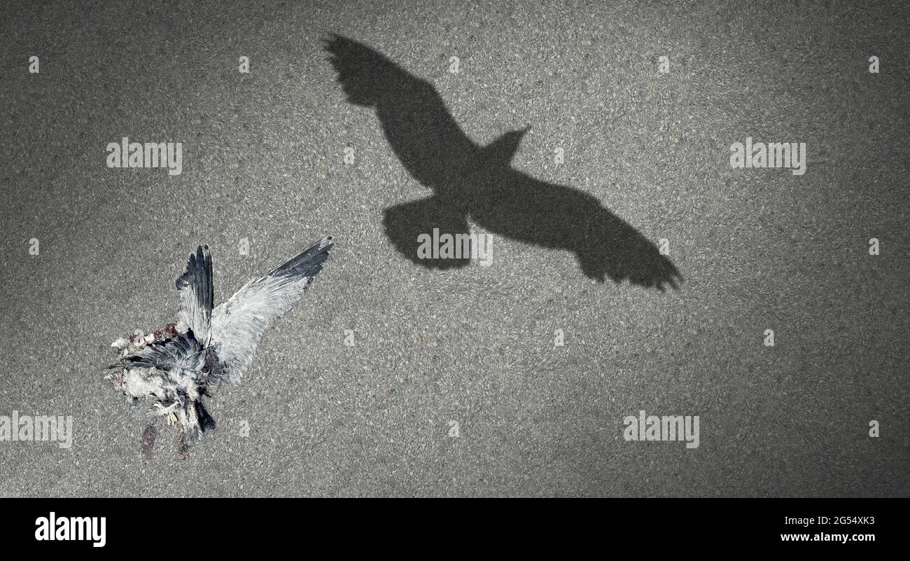 Konzept der Erneuerung und Nachleben oder Reinkarnation Leben nach dem Tod Idee als ein toter Vogel werfen einen Schatten einer fliegenden Möwe, die Hoffnung. Stockfoto