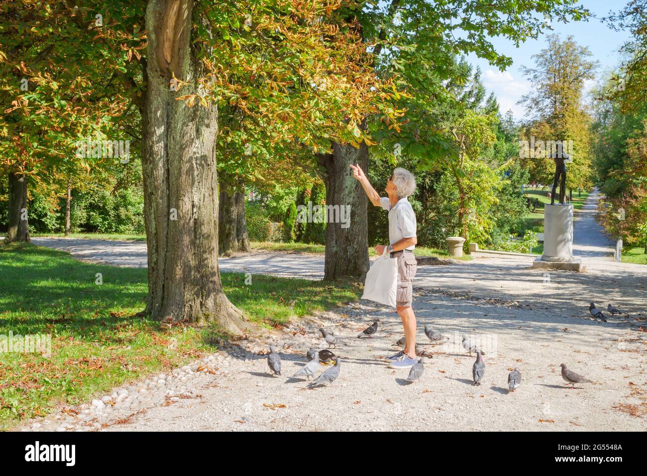 Ljubljana, Slowenien - 16. August 2018: Ein Mann versucht, in einem Baum des Tivoli-Stadtparks einige Vögel mit der Hand zu füttern, während andere auf dem Boden stehen Stockfoto Ljubljana, Slowenien - 16. August 2018: Ein Mann versucht, in einem Baum des Tivoli-Stadtparks einige Vögel mit der Hand zu füttern, während andere auf dem Boden stehen Stockfoto