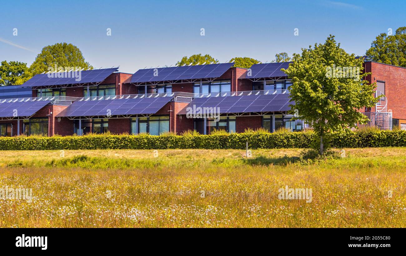 Öffentliches Schulgebäude mit Sonnenkollektoren als Sonnenschutz genutzt. Beschattung der Klassenzimmer bei der Stromerzeugung. Eine Win-Win-Situation. Th Stockfoto