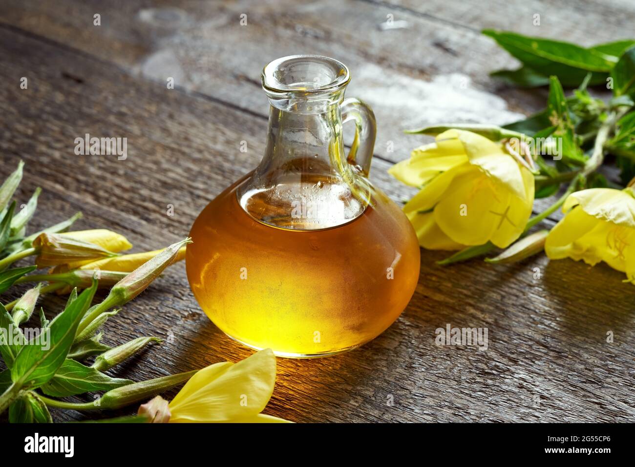 Eine Flasche Nachtkerzenöl mit frisch blühender Pflanze. Alternative pflanzliche Heilmittel. Stockfoto
